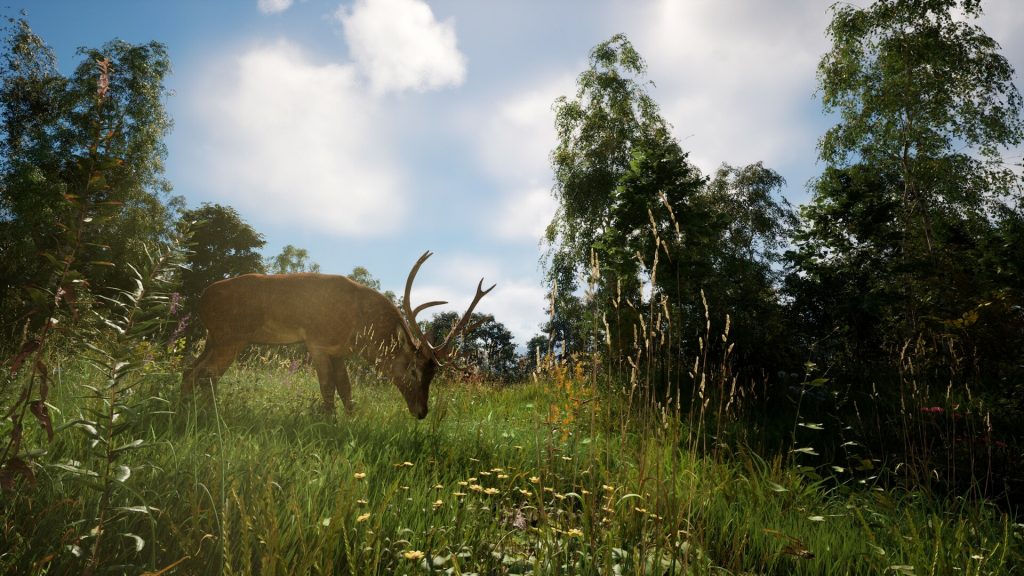 图片[7]-恐惧地带中文版下载-恐惧地带正版免费下载