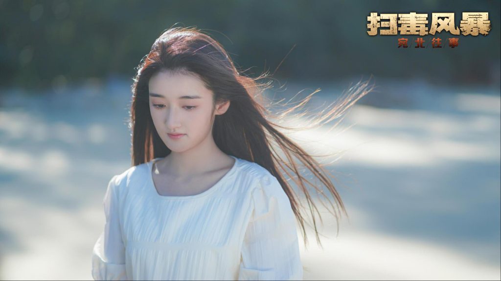 图片[3]-扫毒风暴宛北往事游戏下载-扫毒风暴宛北往事电脑版下载