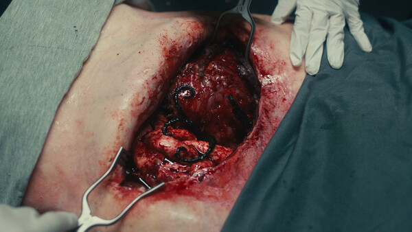 图片[3]-死亡重启/Dead Reset