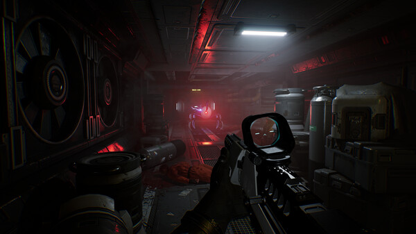 图片[3]-物种：未知/Species: Unknown/支持联机