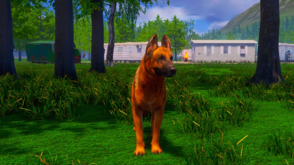 图片[4]-迷途狗爪/Lost Paws