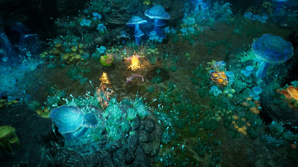 图片[3]-再次崛起/Rise Again