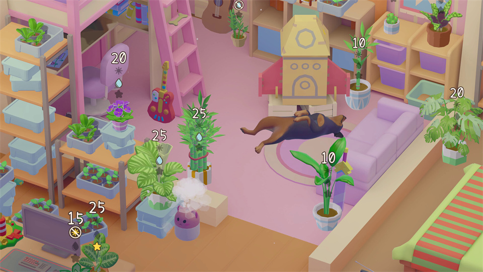 图片[3]-我的小绿屋/Urban Jungle