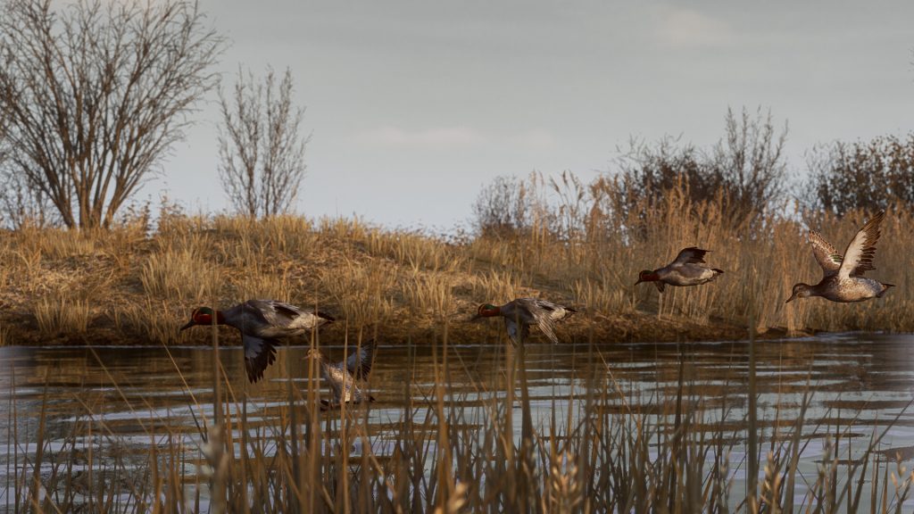 图片[1]-BULT狩猎模拟器/BULT: Hunting simulator