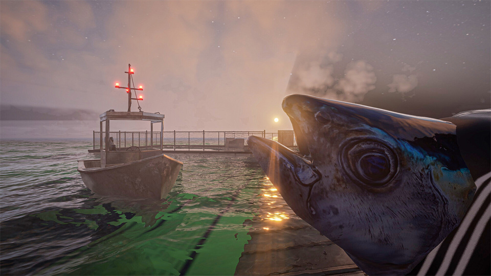 图片[3]-禁忌海猎/UMIGARI