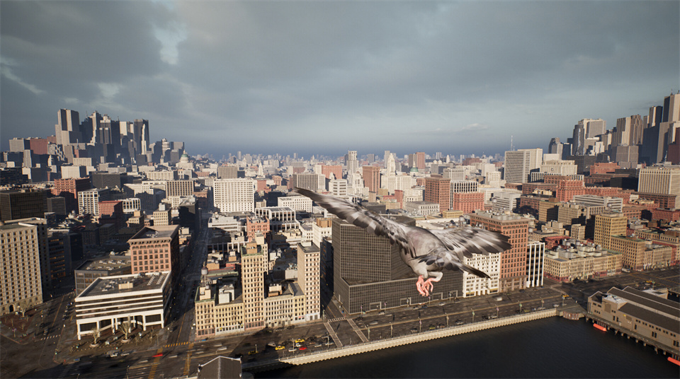 图片[3]-鸽子飞行模拟器/Pigeon Flight Simulator