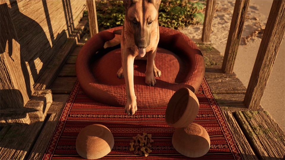 图片[2]-重建你的岛屿/Restore Your Island