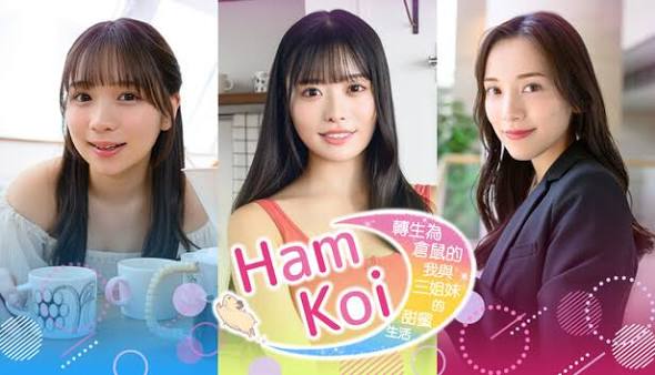 HamKoi转生为仓鼠的我与三姐妹的甜蜜生活-集游星START游戏仓库-免费单机游戏下载